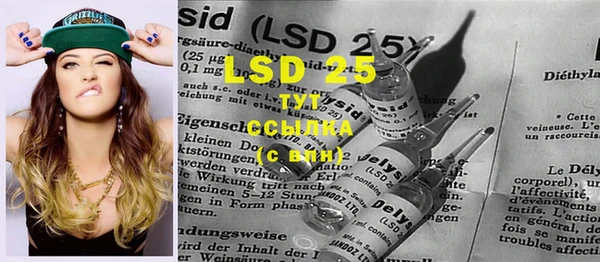 ECSTASY Алзамай