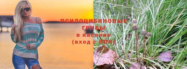 стаф Семикаракорск