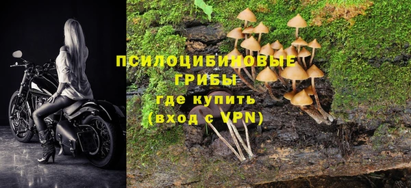 прущий лед Арсеньев