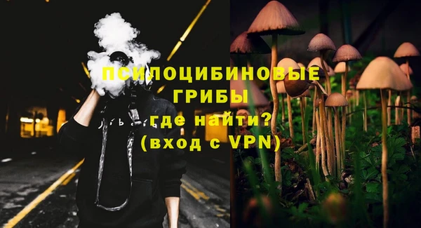 ECSTASY Алзамай
