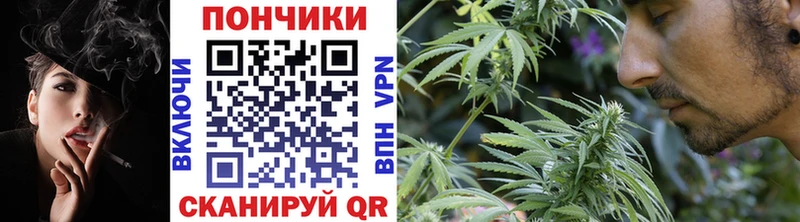 Конопля Bruce Banner наркотики Дорогобуж